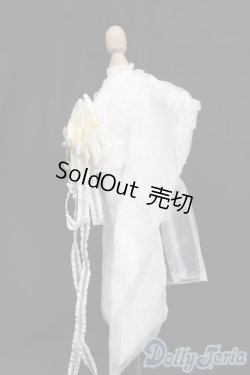 画像2: MDD/OF:衣装セット S-25-04-27-407-GN-ZS