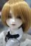 画像1: 【新宿マルイアネックス店 店頭販売商品】SDM男の子/コーディネートモデルF-35 2100150000007626-ZM (1)