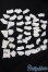 画像1: ジェニー/OF:衣装 S-25-04-06-093-GN-ZS (1)