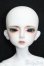 画像1: LITTLE MONICA/Little Enrill S-25-03-16-001-GN-ZS (1)