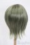画像2: 8-9inch/ウィッグ S-25-05-04-289-GN-ZS (2)