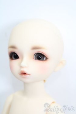 画像2: 幼SD/ダイ S-25-03-16-190-GN-ZS
