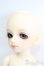画像3: 幼SD/アン S-25-03-16-188-GN-ZS