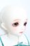 画像4: SDM女の子/コーディネートモデルF-50 S-25-04-20-542-GN-ZS