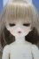 画像1: 【新宿マルイアネックス店 店頭販売商品】BJD CROBI/Boni DayDream 2100150000008242-ZM (1)