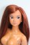 画像1: momokoDOLL/momoko ver.03SSor S-25-03-23-177-GN-ZS (1)
