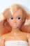 画像1: momokoDOLL/momoko ver.03PS S-25-03-23-162-GN-ZS (1)