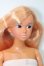 画像3: momokoDOLL/momoko ver.03PS S-25-03-23-162-GN-ZS (3)