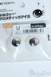 22mm/アニメアイ Y-25-11-26-137-GN-ZY
