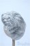 画像2: 9-10inch/ウィッグ Y-25-03-26-267-GN-ZY (2)