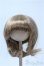 画像1: 9-10inch/ウィッグ Y-25-03-26-273-GN-ZY (1)