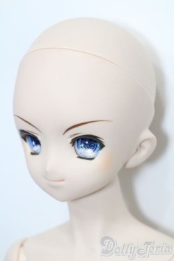 画像2: DD/涼宮ハルヒ S-25-03-23-169-GN-ZS