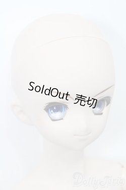 画像3: DD/涼宮ハルヒ S-25-10-05-478-GN-ZS