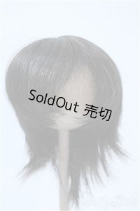 9-10inch/ウィッグ Y-25-03-26-263-GN-ZY