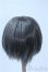 画像2: 9-10inch/ウィッグ Y-25-03-26-284-GN-ZY (2)