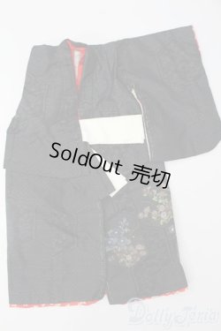 画像1: SD/OF:衣装セット S-25-06-01-327-GN-ZS