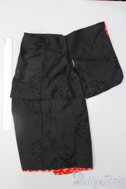 画像2: SD/OF:衣装セット S-25-03-23-247-GN-ZS