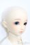 画像4: SD女の子/スタンダードモデル:ちよ S-25-03-23-204-GN-ZS