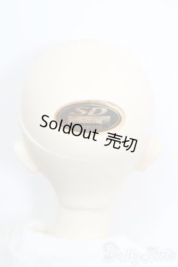 画像5: SD女の子/スタンダードモデル:ちよ S-25-08-17-368-GN-ZS