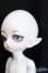 画像2: LUTS/Tiny20Delf:KAI ELFver. S-25-03-30-202-GN-ZS (2)