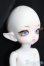 画像3: LUTS/Tiny20Delf:KAI ELFver. S-25-03-30-202-GN-ZS