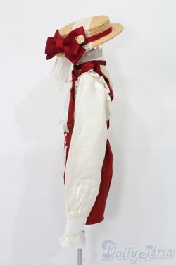 画像2: SD13BOY/OF:RoseGarden衣装セット　Melody.C様製 S-25-04-06-024-GN-ZS