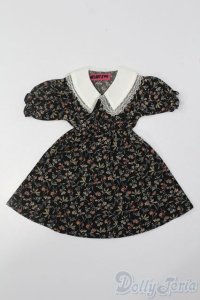 SD/OF:ワンピース S-25-06-01-351-GN-ZS