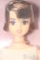 画像1: ジェニー/フレンドドール スージー S-25-04-06-149-GN-ZS (1)