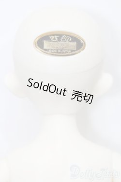 画像5: SDM女の子/のあ PSホワイトVer. S-25-06-08-720-GN-ZS