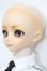 画像3: DD/カスタムドール S-25-04-06-102-GN-ZS