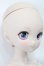 画像4: MDD/ドリームチョイス:DC-H-17 S-25-04-06-105-GN-ZS