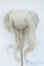 画像1: 8-9inch/ウィッグ Y-25-04-09-089-GN-ZY (1)