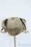画像3: 9-10inch/ウィッグ Y-25-04-09-116-GN-ZY (3)