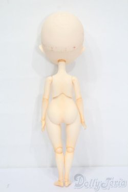 画像6: Harmonia bloom(ハルモニアブルーム)/ユリ S-25-08-31-327-GN-ZS