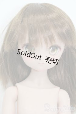 画像1: MDD/ドリームチョイス:DC-H-17 S-25-04-13-009-GN-ZS