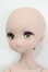画像3: MDD/ドリームチョイス:DC-H-17 S-25-04-13-009-GN-ZS