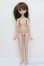画像5: MDD/ドリームチョイス:DC-H-17 S-25-04-13-009-GN-ZS