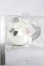 画像3: MDD/OF:RosenliaDoll様製衣装 小さな休日 S-25-04-13-065-GN-ZS (3)