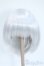 画像1: 9inch/ウィッグ Y-25-04-30-105-GN-ZY (1)