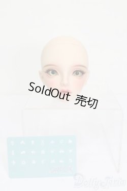 画像5: SWITCH/SHIHOヘッド S-25-11-23-583-GN-ZS