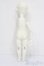 画像5: iMda DOLL 3.0/Nicole S-25-07-06-003-GN-ZS