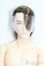 画像1: 六分の一男子図鑑/B2312 ナイン S-25-04-13-220-GN-ZS (1)