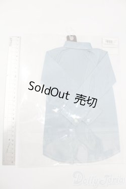 画像2: SDGrB〜SD17B/OF:シャツ(デニム)・L S-25-11-16-565-GN-ZS