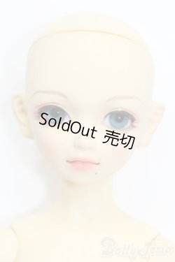 画像1: SD/くん:スタンダードフェア限定 初回限定版 S-25-04-20-111-GN-ZS