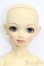 画像1: SD/くん:スタンダードフェア限定 初回限定版 S-25-04-20-111-GN-ZS (1)
