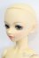 画像2: SD/くん:スタンダードフェア限定 初回限定版 S-25-04-20-111-GN-ZS (2)