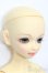 画像3: SD/くん:スタンダードフェア限定 初回限定版 S-25-04-20-111-GN-ZS
