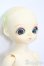画像3: LEEKE WORLD/Cutie S-25-04-20-105-GN-ZS
