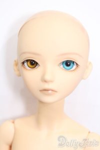 BLUE FAIRY/TF:Jerome S-25-04-20-106-GN-ZS