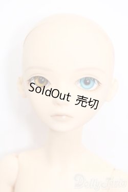 画像1: BLUE FAIRY/TF:Jerome S-25-06-15-683-GN-ZS